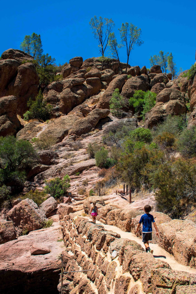 Photo of kids hiking across a bridge at Pinnacles