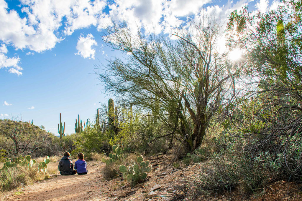 Photo of kids sitting on a hiking trail